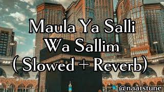 Maula Ya Salli Wa Sallim  slowed amp reverb [upl. by Ydnec334]