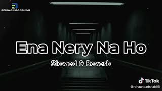 Ena Nery Na Ho Dildar Way Slowed ampReverb [upl. by Easlehc580]