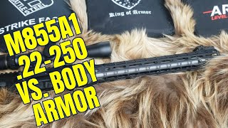 22250 Rem vs Body Armor Comprehensive Testing [upl. by Marcin12]