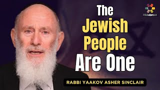 The Oneness of The Jewish People  Parshat Teruma  Rabbi Yaakov Asher Sinclair [upl. by Damicke]