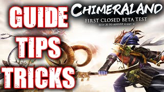 Beginners Guide Of Chimeraland Tips And Tricks [upl. by Ajiat]