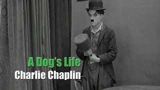 Charlie Chaplin  A Dogs Life  Hand Scene quotPuppetquot Gag [upl. by Larena]