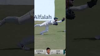 What a catch by Md Rizwan 🔥rizwan cricket viralvideo [upl. by Nwahsad993]