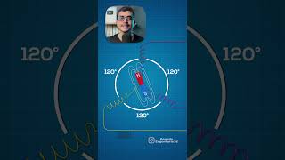 PORQUE 3 FASES NA REDE TRIFÁSICA eletricidade eletricista eletrica eletricaresidencial [upl. by Kathlene]