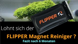 Lohnt sich der Flipper Magnet Scheibenreiniger für dein Aquarium   Fazit nach 6 Monaten Dauertest [upl. by Bettina]