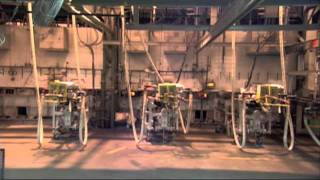 How Murano Millefiori Glass Is Made In A Glass Factory In Venice Italy [upl. by Earezed]