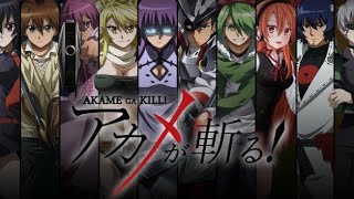 Akame ga Kill Trailer DeutschGerman [upl. by Quintilla]