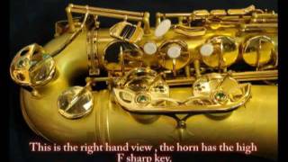 Sequoia lemon tenor sax reviewrecensione part 12 ITA sub ENG [upl. by Melc]