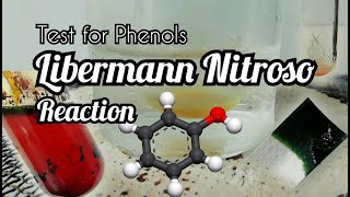 Libermann Nitroso reaction  test for phenols [upl. by Wrand]