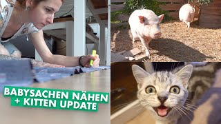 Babyklamotten selber nähen  Mit den Kitten zum Tierarzt  SchweinenUpdate  Weekly Vlog 71 [upl. by Ettesoj183]