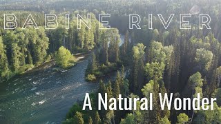 The Babine River One of BCs Natural Wonders  fly fishing for sockeye [upl. by Adnomal]