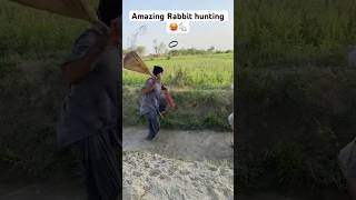 Amazing Rabbit hunting  Rabbit hunting 🥵🐇 shorts farmer hunting animal rabbit [upl. by Ermin]