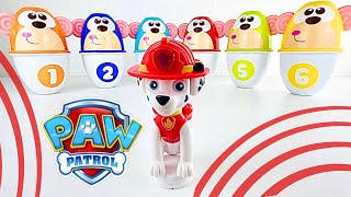 PAW Patrol Adventure to Learn Colors and Numbers  Best Kids Learning Video [upl. by Enileve725]