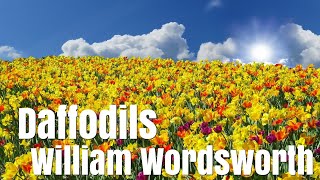 William Wordsworth  I Wandered Lonely as a Cloud Daffodils  Poetry reading with text [upl. by Tews]