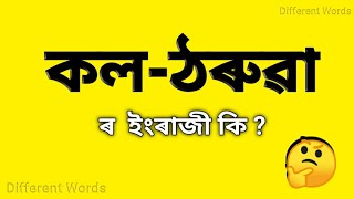 কলঠৰুৱা  ৰ ইংৰাজী কি  কলঠৰুৱা মানে কি  Assamese to English vocabulary  words meaning [upl. by Iblok]