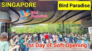 Singapore Bird Park First Day Opening  Bird Paradise Singapore  Singapore Bird Park Show [upl. by Alset]