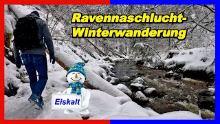 Wanderung durch die Ravennaschlucht ab Bahnhof Hinterzarten  eine frostige Angelegenheit 🐻‍❄️😉 [upl. by Trueman]