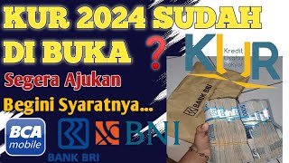 RESMI  PENYALURAN KUR 2024 SUDAH DIBUKA  Begini persyaratannya dan cara daftarnya ❗ [upl. by Sukin]