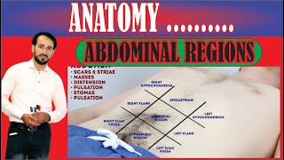 What are 9 Regions of Abdomen  Contents of Abdominal Regions  Made so Simple  Lecture1 [upl. by Anirbus]