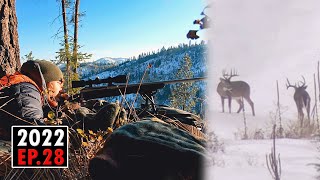 BIG Mountain Whitetail Bucks Late Season Hunting  2022 Hunting Season EP28 [upl. by Anetta]