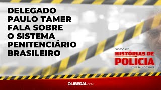 Delegado Paulo Tamer fala sobre o sistema penitenciário brasileiro [upl. by Dreeda791]