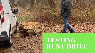 How to Test Hunt Drive  Grassroots k9 [upl. by Nahsez94]