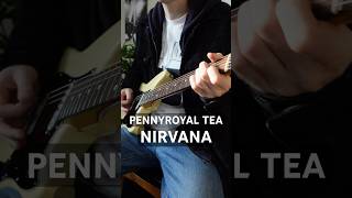 Nirvana  Pennyroyal Tea guitar cover [upl. by Lig903]