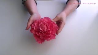 How to Make a Sugarcraft Peony Flower [upl. by Sillert]