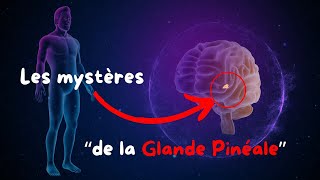 La Glande Pinéale Ce Que Personne Ne Vous Apprend Introduction [upl. by Latisha]