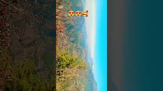 Pracher velly tour tourism youtubeshorts shorts follow viralvideo music phonk [upl. by Eidolem537]