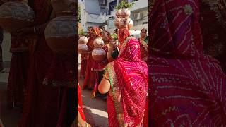 wedding👰💍🤵💒shekhawati culture rajasthani ytshorts [upl. by Wesley]