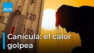 ☀️🌡️¿Qué es la CANÍCULA🌡️☀️ [upl. by Bywoods]