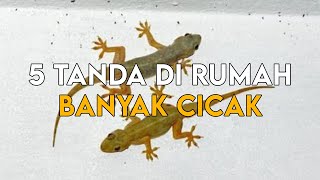 5 Tanda Dirumahmu Banyak Cicak Ternyata Allah Mengisyaratkan Hal Ini [upl. by Enimsay537]