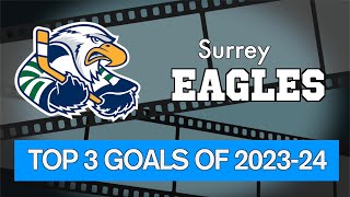 Surrey Eagles Best Goals  202324 Season [upl. by Nylirem15]