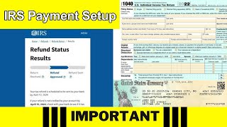 IRS Payment Plan How to Set Up Payment Plans for Past Due Taxes [upl. by Lazes980]