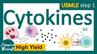 Cytokines  subclasses of cytokines  functions of cytokines  USMLE step 1 [upl. by Eiger]