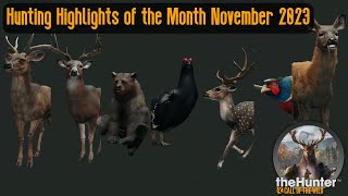 Hunting Highlights of the Month November 2023 theHunter Call of the Wild [upl. by Arnulfo]