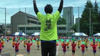 Undokai  Sports Day in a Japanese Primary School [upl. by Jamel]