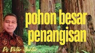 POHON BESAR PENANGISAN PETER GUNTUR [upl. by Romine]