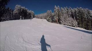 Campitello di Fassa  skiarea Col Rodella pista Tre 3 [upl. by Spillihp]