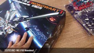 UNBOXING  PART PREVIEW CUTECUBE  MG 1100 Woundwort [upl. by Binky625]