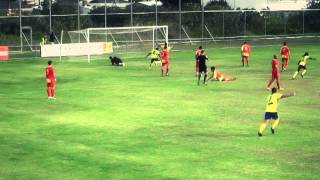 NPL WA Highlights Show Round 8 [upl. by Ramsden]