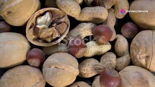 Easy Guide to Processing Hickory Nuts at Home [upl. by Tamberg]