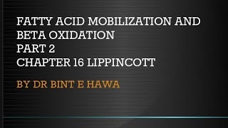 Beta oxidation of Fatty acids Chapter 16 Biochemistry made easy by Dr Bint e Hawa [upl. by Satsoc581]