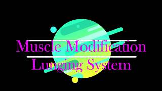 Muscle Modification Lunging amp Combination Cavesson [upl. by Cita]