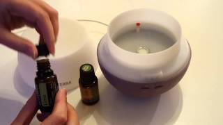 How to use a diffuser for your Essential Oils [upl. by Emmit]