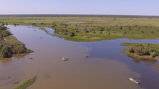 Pescaria de Piau no Pantanal  Programa Hora da Pesca  Pousada Reserva do Pantanal [upl. by Wampler]