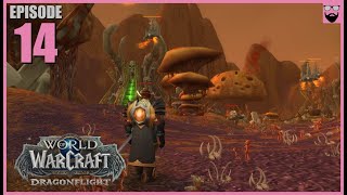 Lets Play World of Warcraft Dragonflight In 2024  Fresh Start Paladin Part 14  Chill Gameplay [upl. by Namya]