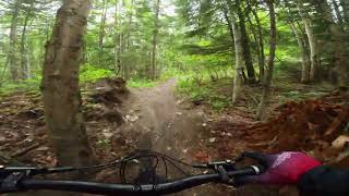 Tabor Mountain Rec Trails  DAYDREAM  VITUS SOMMET 2022 [upl. by Silvie313]