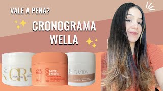 RESENHA CRONOGRAMA WELLA  Completa [upl. by Aicilanna717]